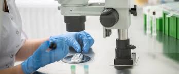 Tüp bebek merkezi Bursa