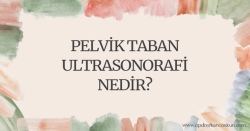 Pelvik taban  ultrasonorafi